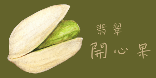 HazelNut Logo