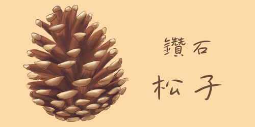 HazelNut Logo