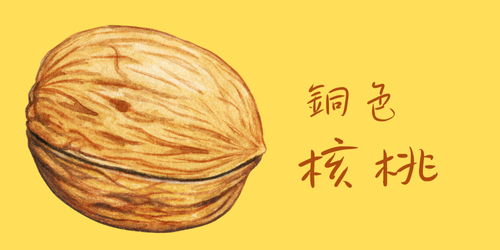 HazelNut Logo